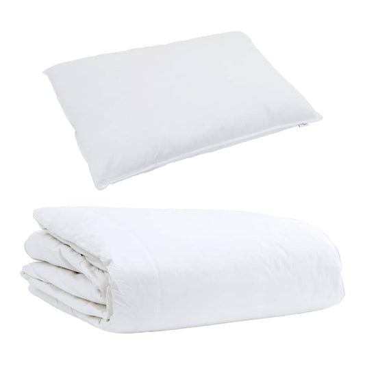 vidaXL Summer Duvet with Pillow 2 pcs White Down Feather