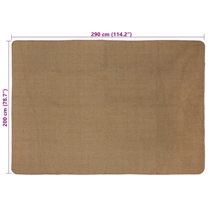 vidaXL Area Rugs Light Brown 200 x 290 cm Jute