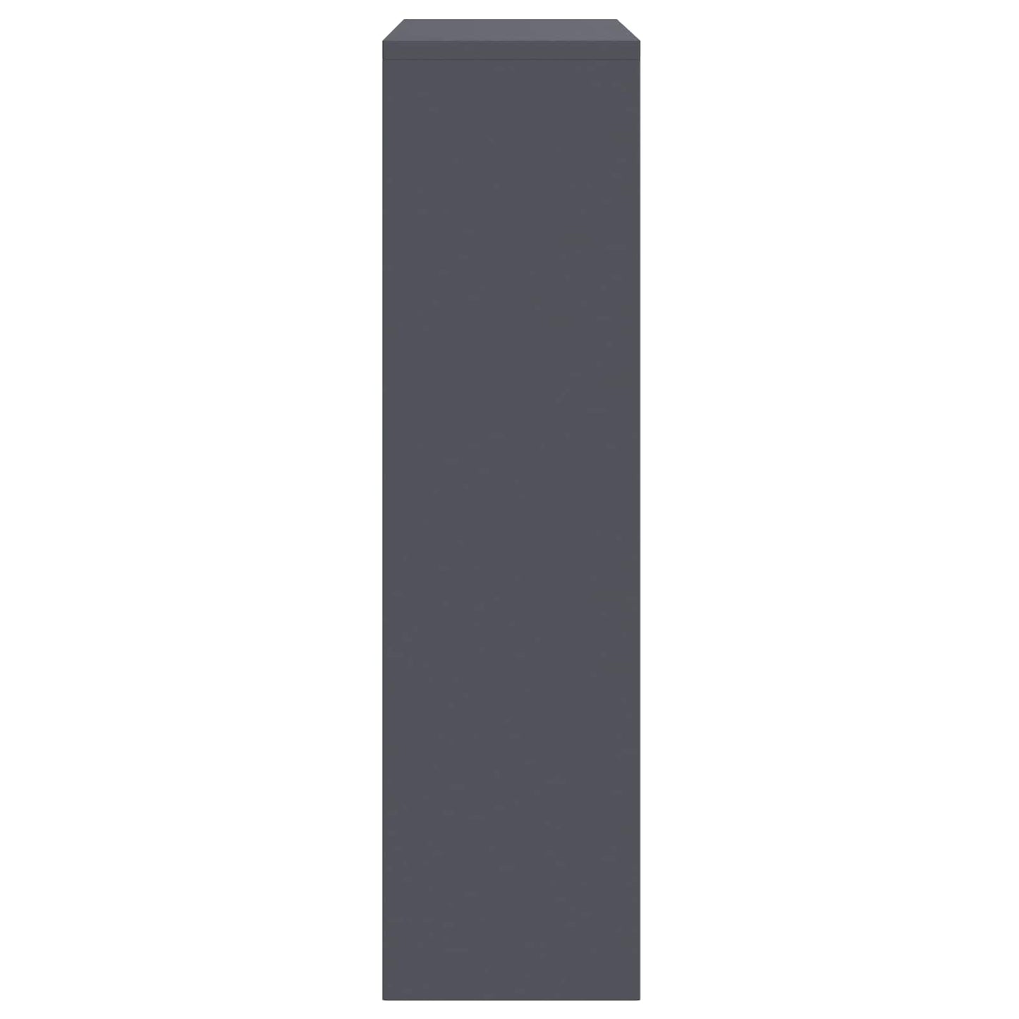 vidaXL Parcel Drop Box with Storage Anthracite 44 x 22 x 82 cm Steel