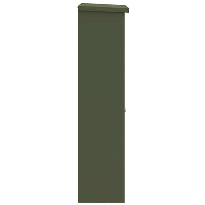 vidaXL Parcel Drop Box Olive green 44.5 x 29 x 110.5 cm Steel