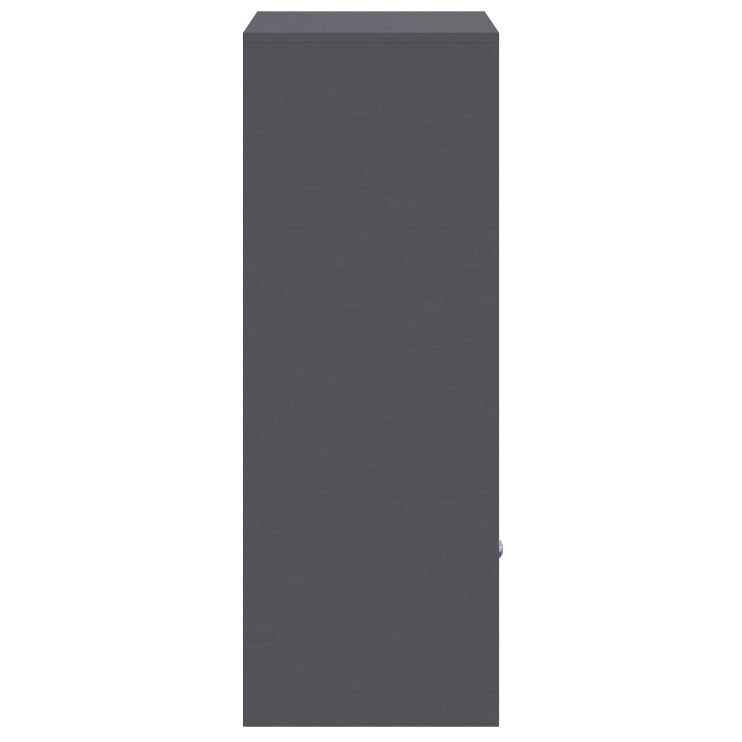 vidaXL Parcel Drop Box with Storage Anthracite 41 x 38 x 103 cm Steel