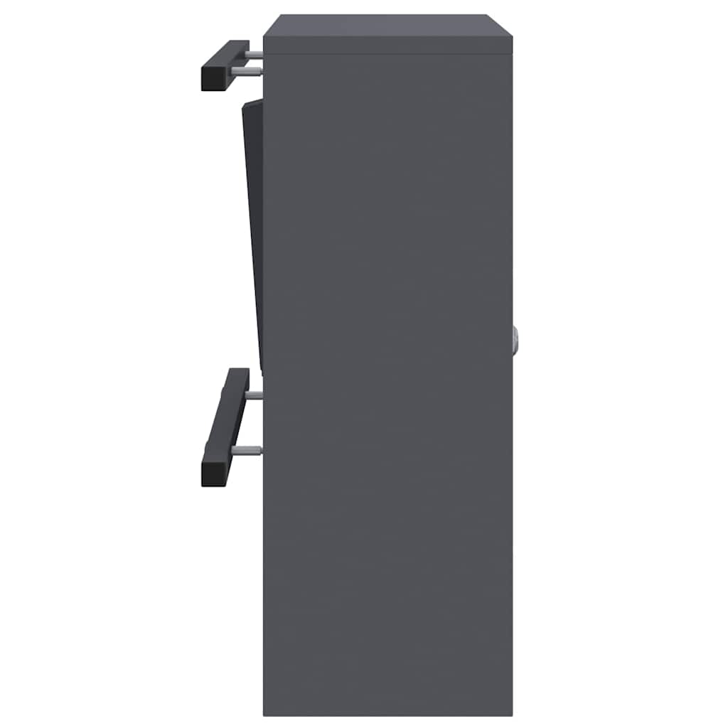 vidaXL Mailbox with Storage with Door Anthracite 30 x 20 x 55 cm Steel