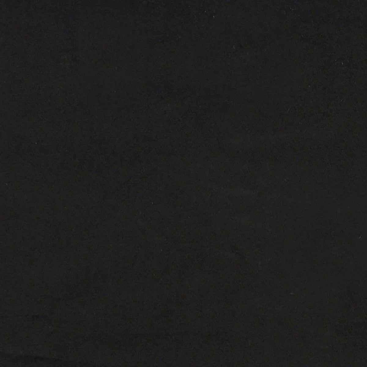vidaXL Armchair Black Velvet