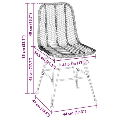 vidaXL Dining Chair 2 pcs Rattan and Iron Natural 44.5 x 54.5 x 85 cm