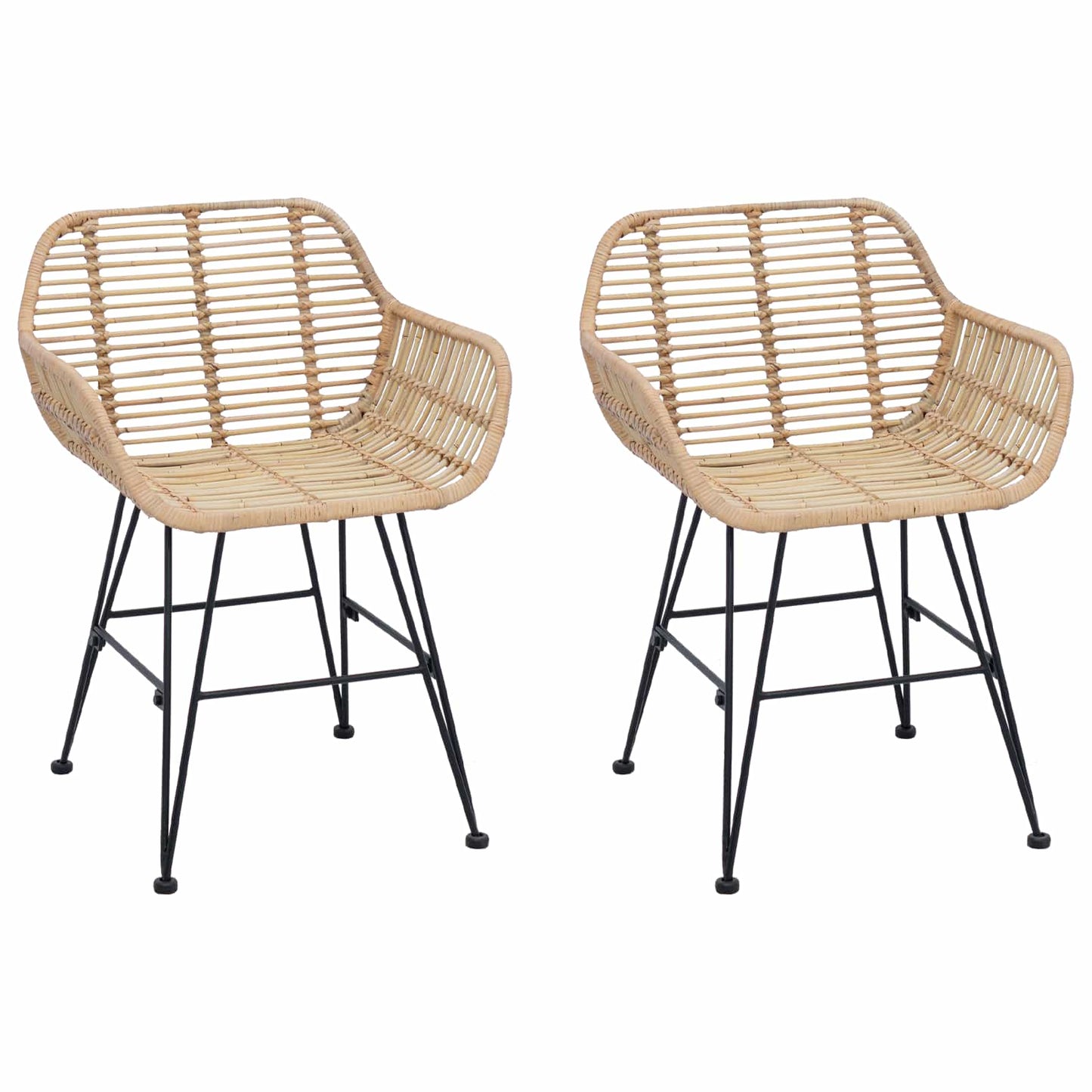 vidaXL Dining Chair 2 pcs Rattan and Iron Natural 55 x 50 x 74 cm