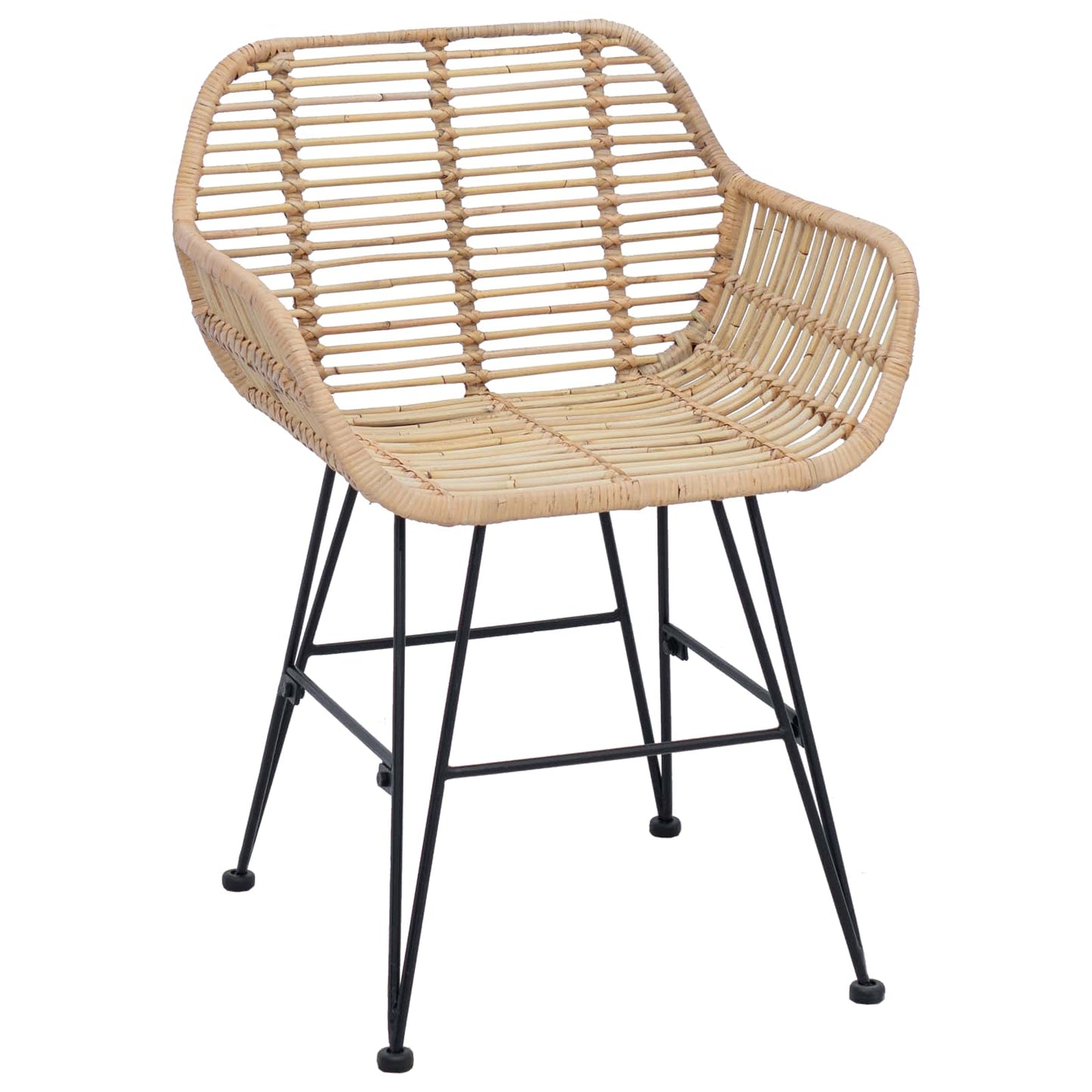 vidaXL Dining Chair 2 pcs Rattan and Iron Natural 55 x 50 x 74 cm
