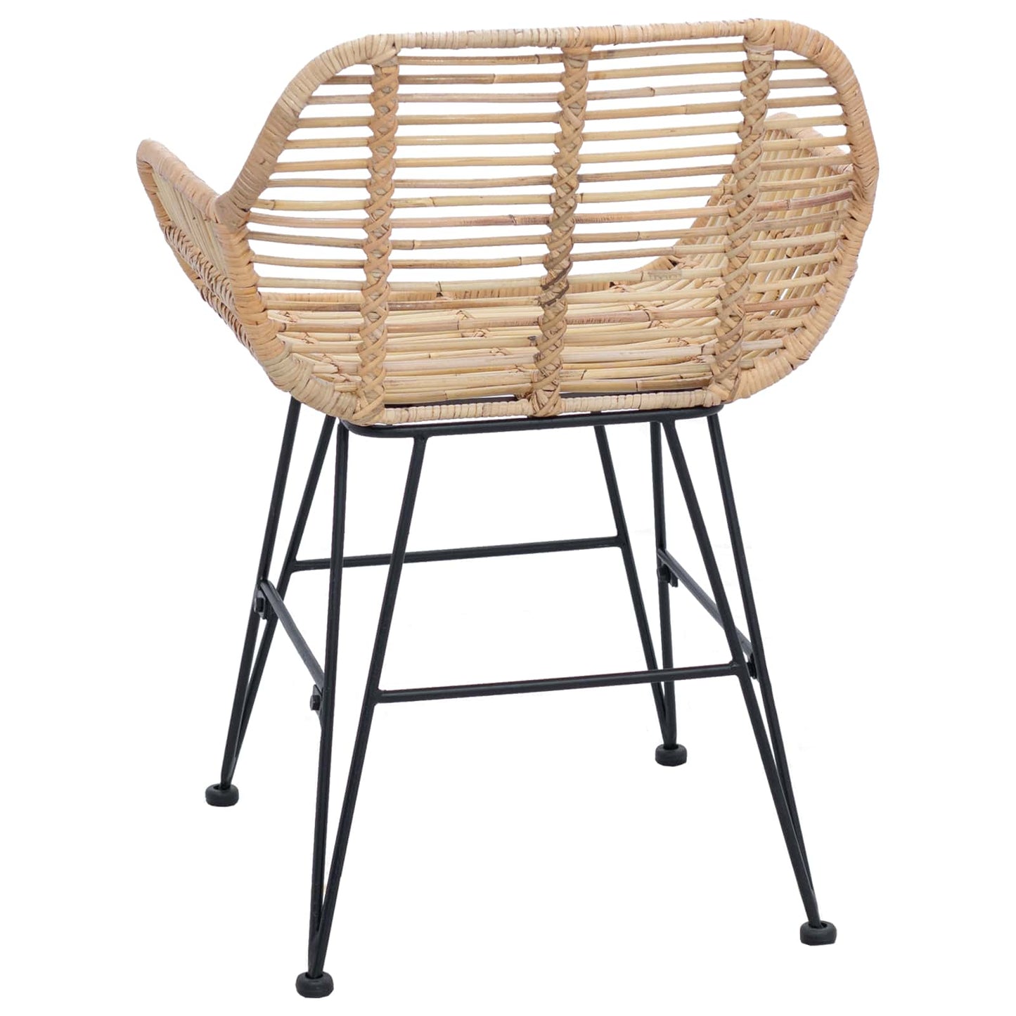 vidaXL Dining Chair 2 pcs Rattan and Iron Natural 55 x 50 x 74 cm