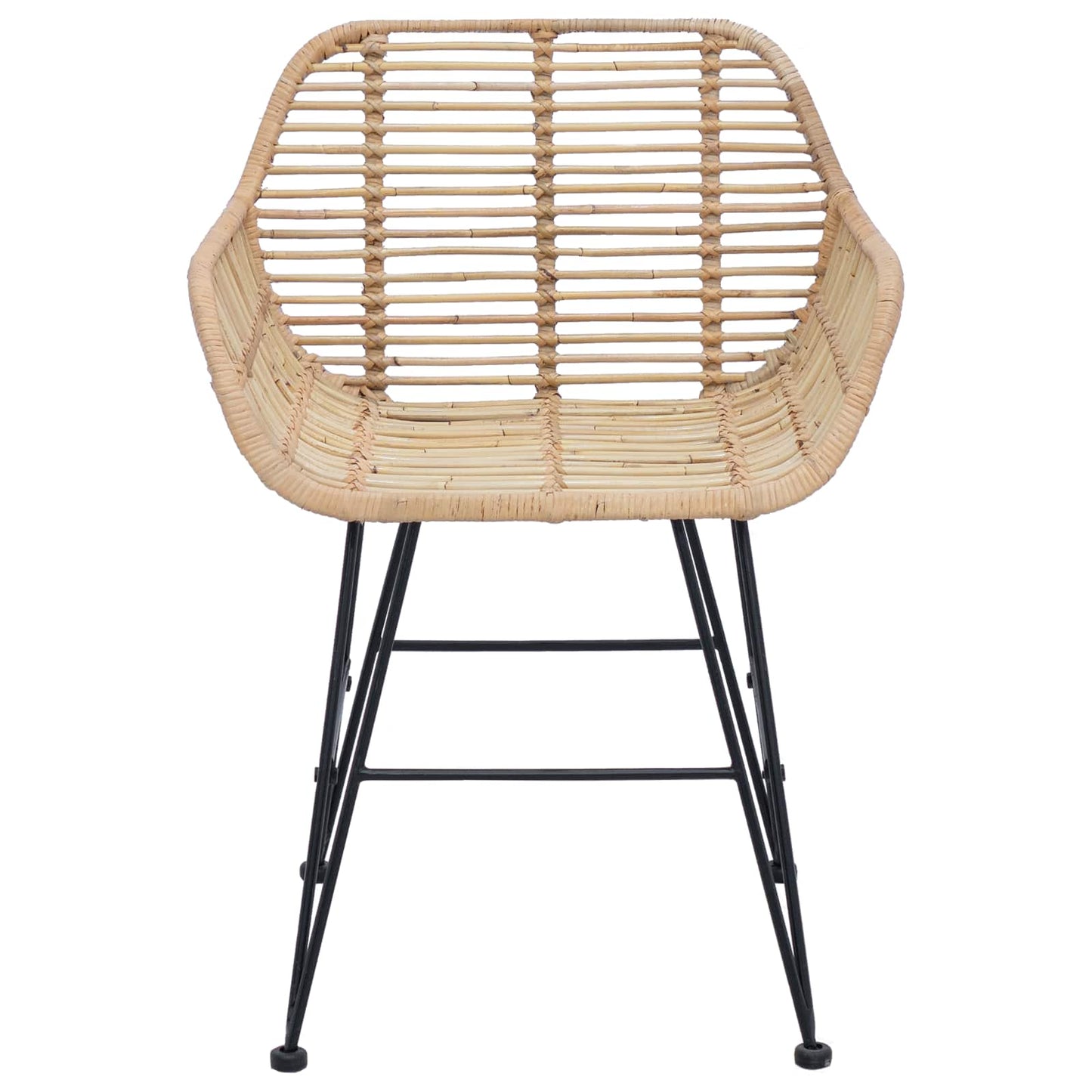 vidaXL Dining Chair 2 pcs Rattan and Iron Natural 55 x 50 x 74 cm