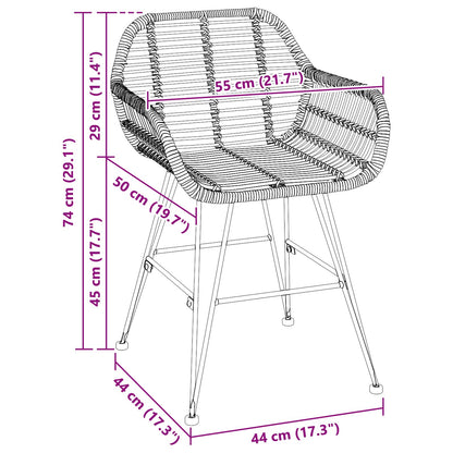 vidaXL Dining Chair 2 pcs Rattan and Iron Natural 55 x 50 x 74 cm