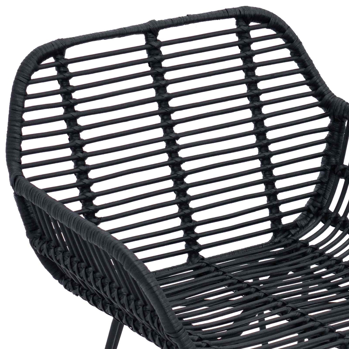 vidaXL Dining Chair 2 pcs Rattan and Iron Black 55 x 50 x 74 cm