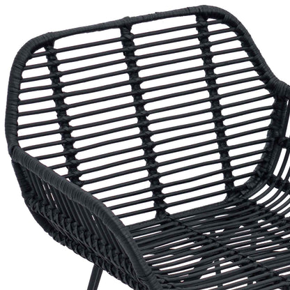 vidaXL Dining Chair 2 pcs Rattan and Iron Black 55 x 50 x 74 cm