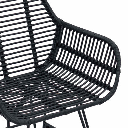 vidaXL Dining Chair 2 pcs Rattan and Iron Black 55 x 50 x 74 cm
