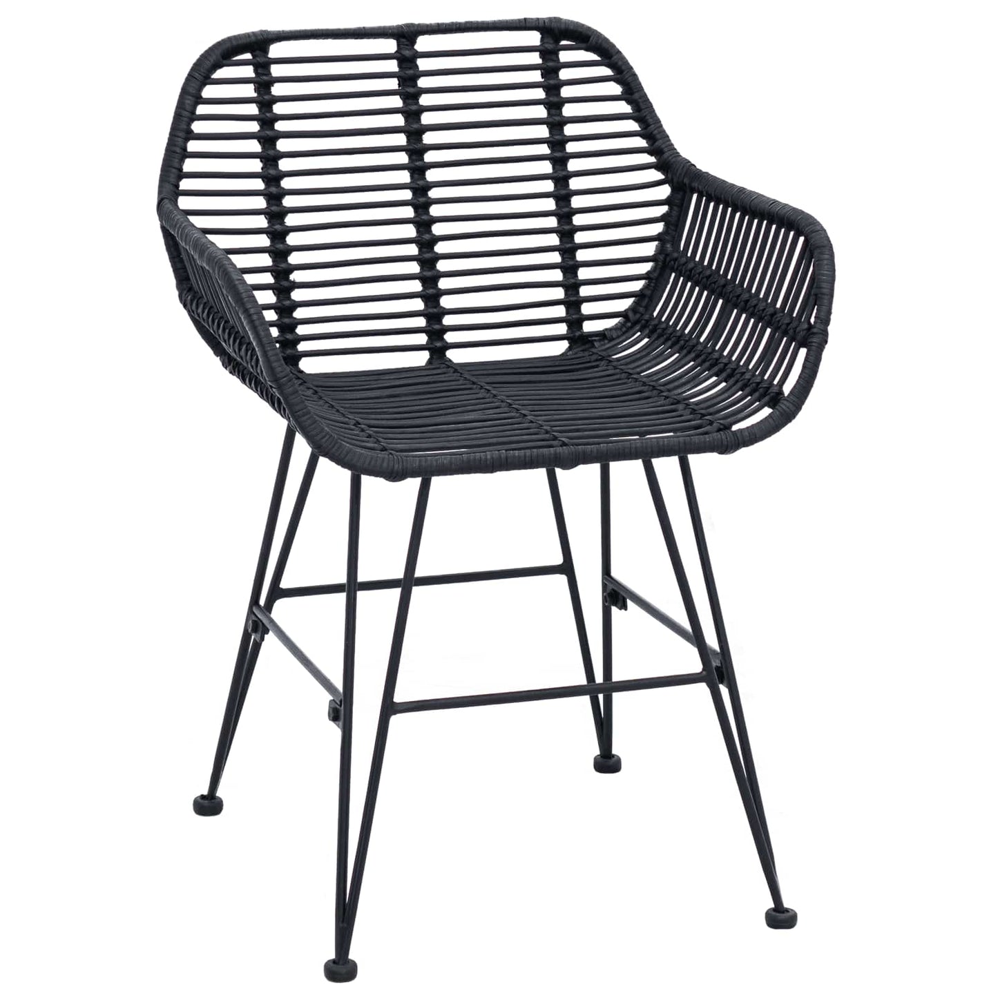 vidaXL Dining Chair 2 pcs Rattan and Iron Black 55 x 50 x 74 cm