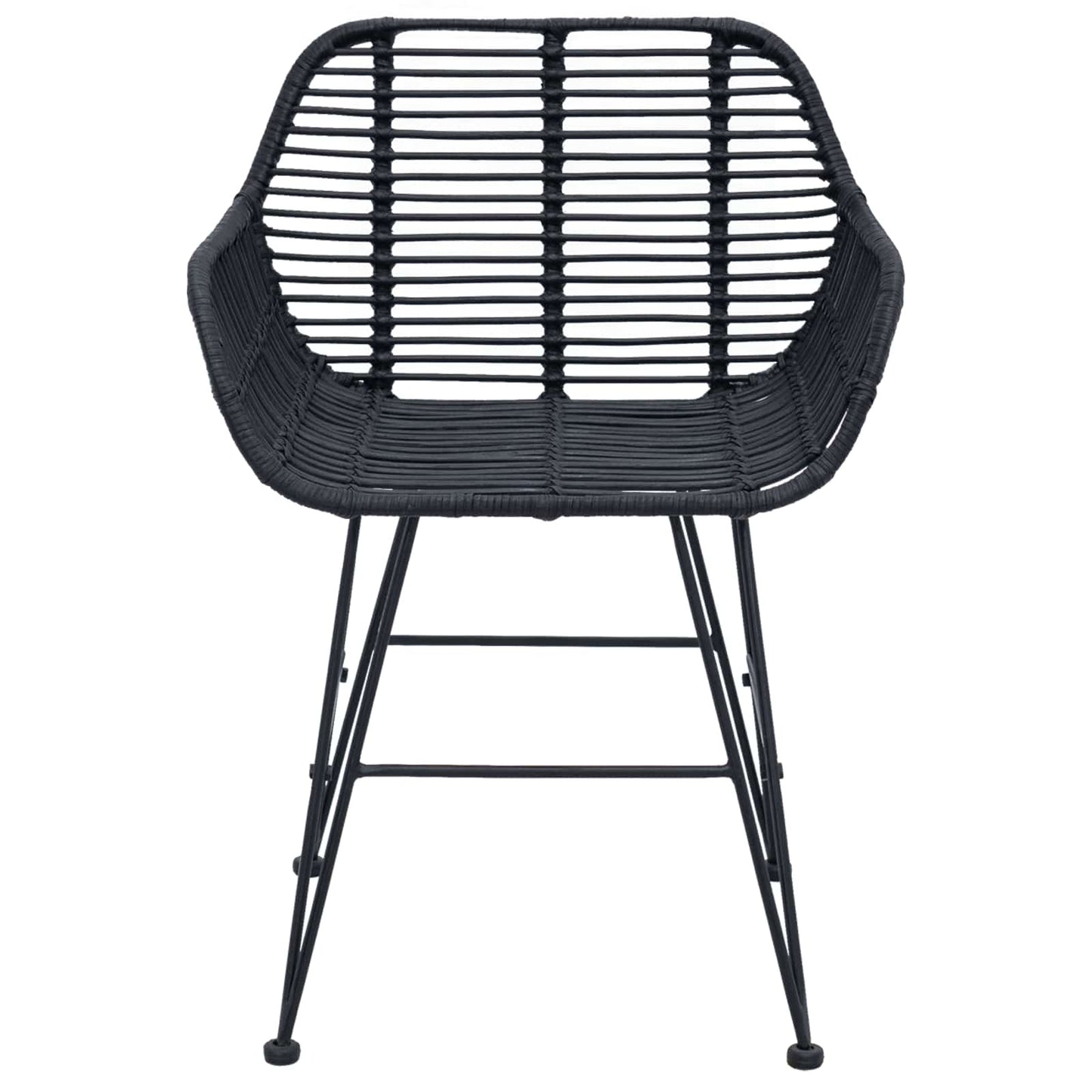 vidaXL Dining Chair 2 pcs Rattan and Iron Black 55 x 50 x 74 cm