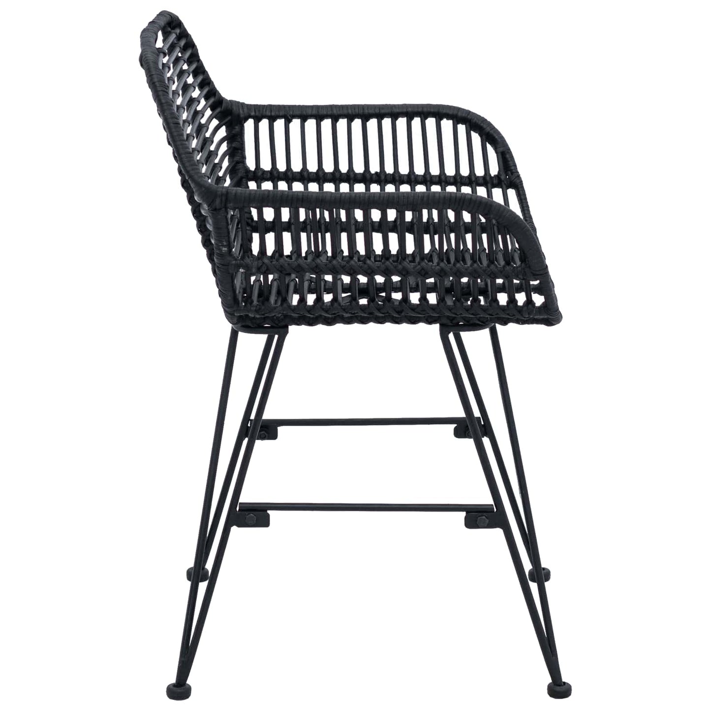 vidaXL Dining Chair 2 pcs Rattan and Iron Black 55 x 50 x 74 cm