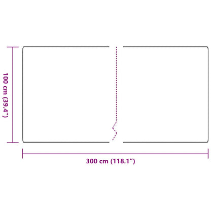 vidaXL Carpet Runner Light Grey 100 x 300 cm 100% Polypropylene