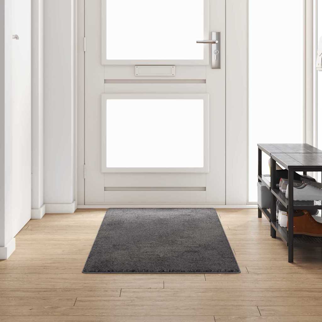 vidaXL Carpet Runner Grey 80 x 250 cm 100% Polypropylene Tuft