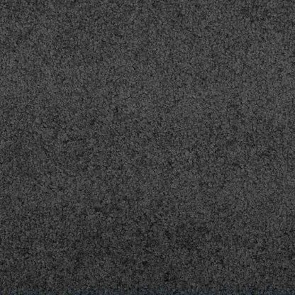 vidaXL Door Mat Anthracite 120 x 80 x 1.2 cm Teddy Fabric