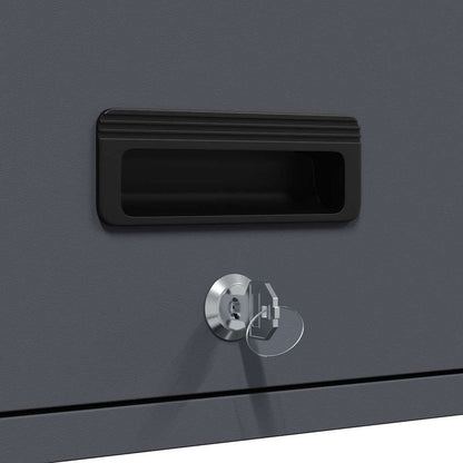 vidaXL Wall Cabinet for Garage with Gas-lift Door Anthracite