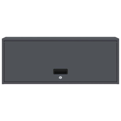 vidaXL Wall Cabinet for Garage with Gas-lift Door Anthracite