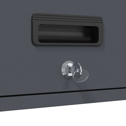 vidaXL Wall Cabinet for Garage with Gas-lift Door Anthracite
