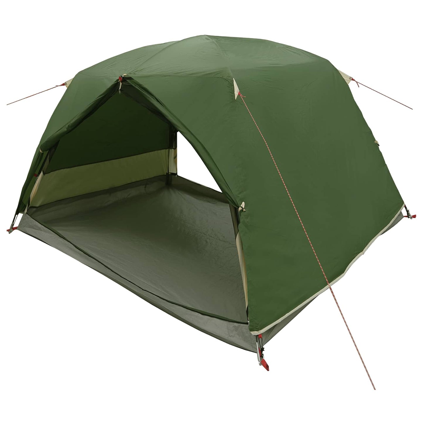 vidaXL Backpacking Tent Green 2-Person 185T Polyester with PU Coating
