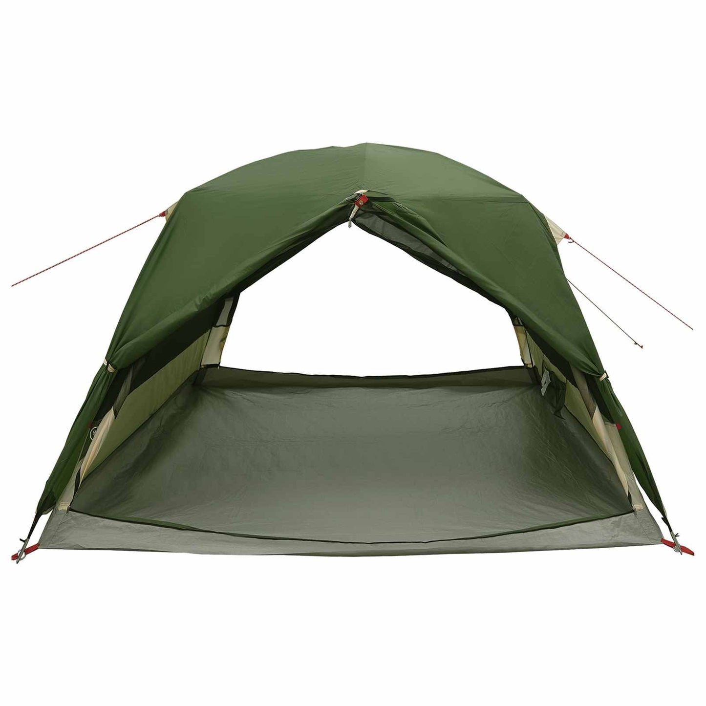 vidaXL Backpacking Tent Green 2-Person 185T Polyester with PU Coating
