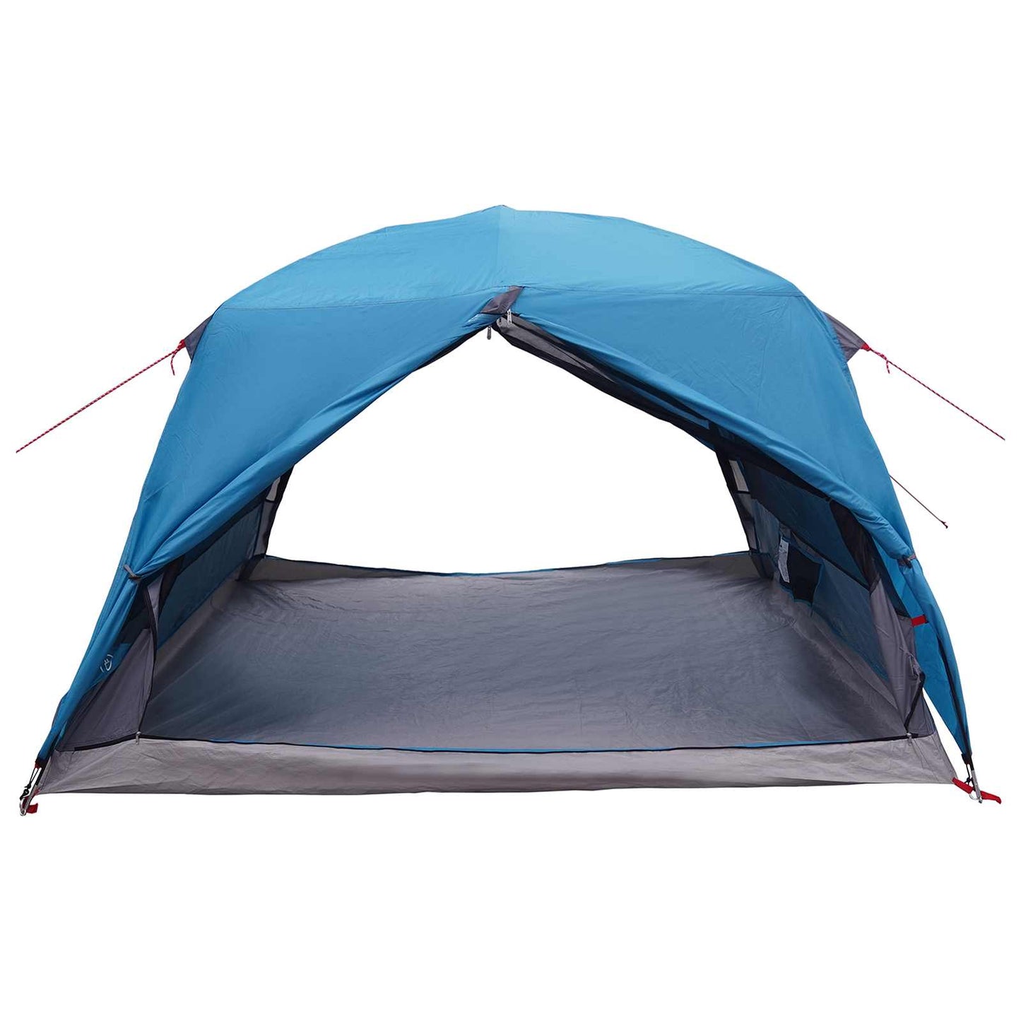 vidaXL Backpacking Tent Blue 2-Person 185T Polyester with PU Coating