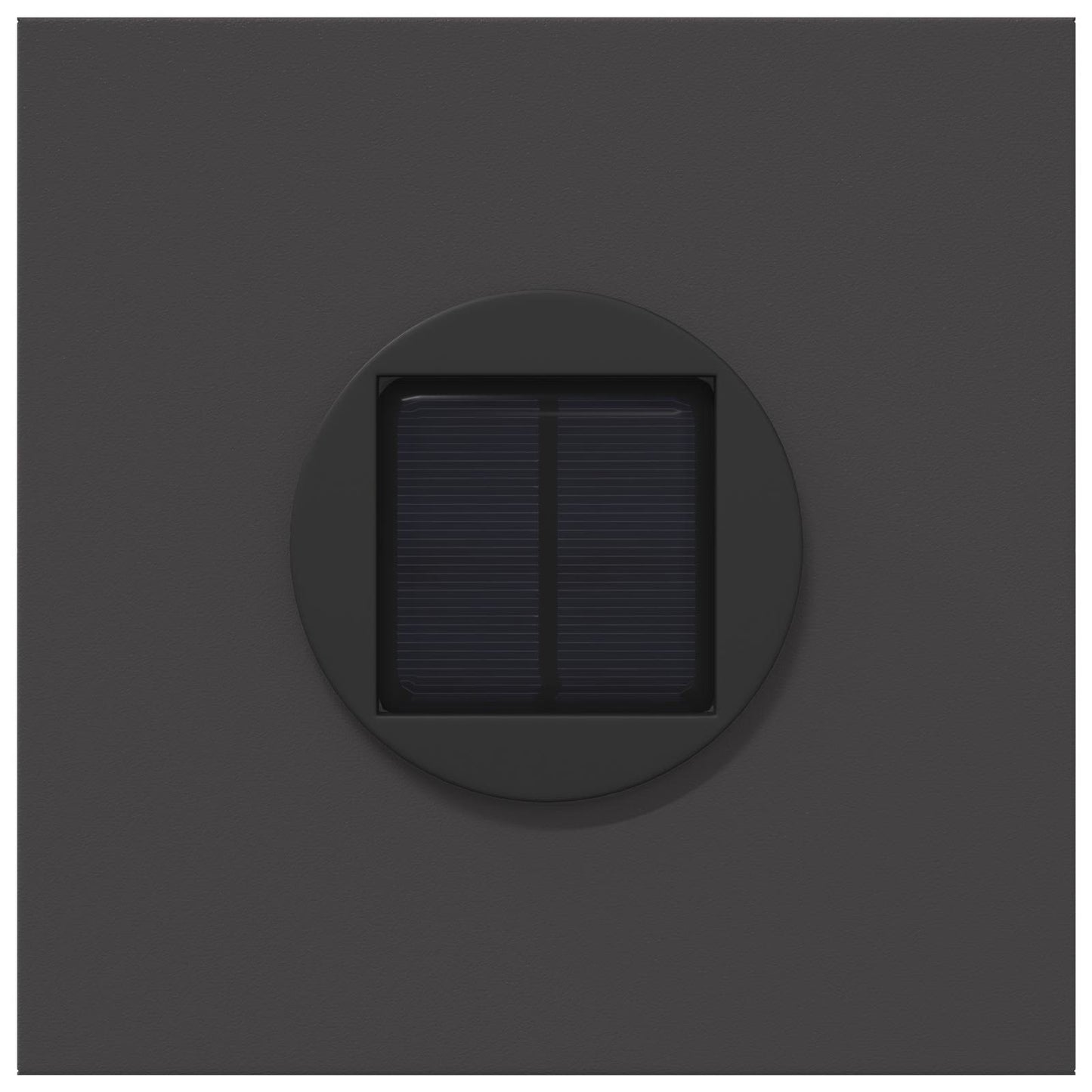 vidaXL Solar LED Pathway Light 2 pcs Black Cold Rolled Steel