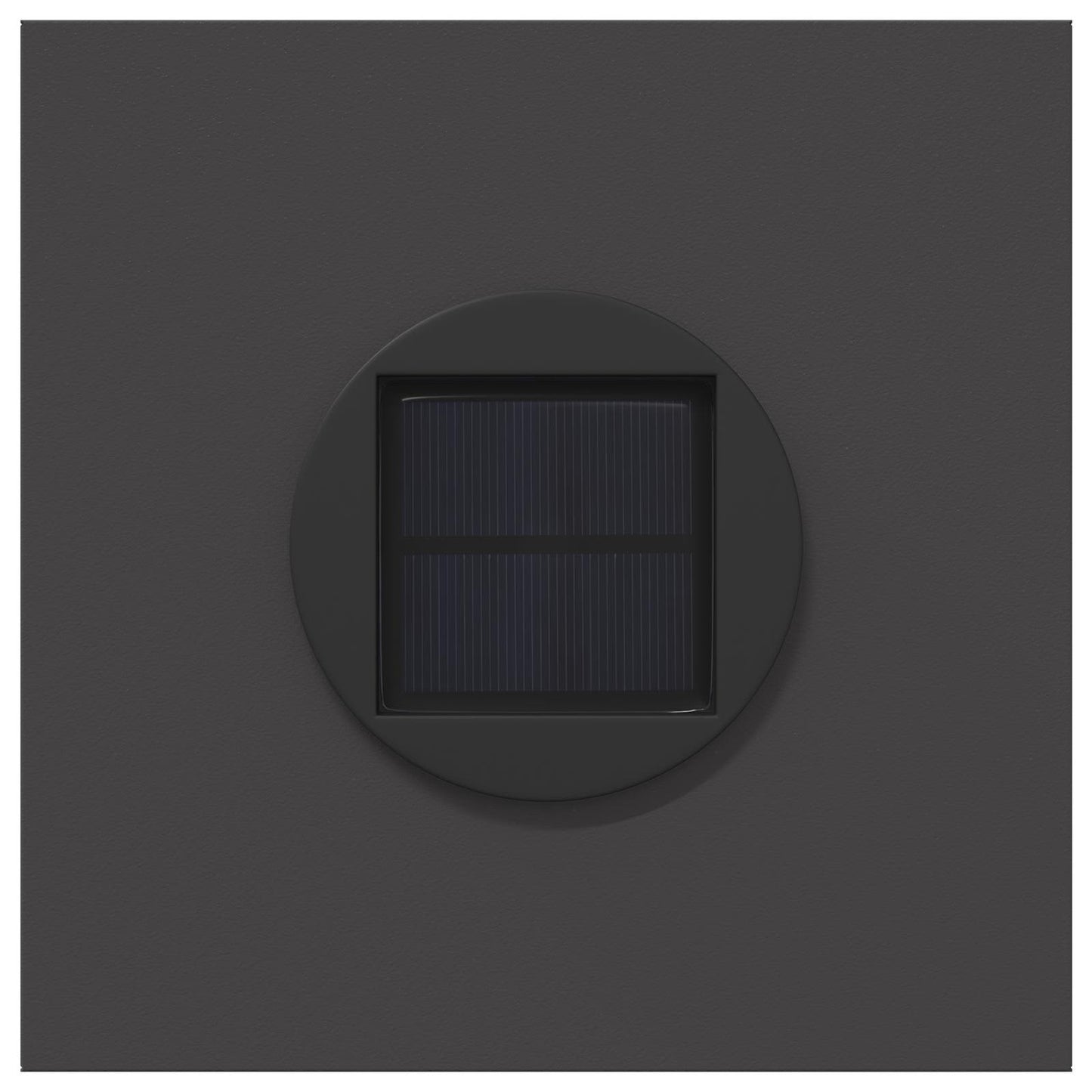 vidaXL Solar LED Pathway Light 2 pcs Black Cold Rolled Steel
