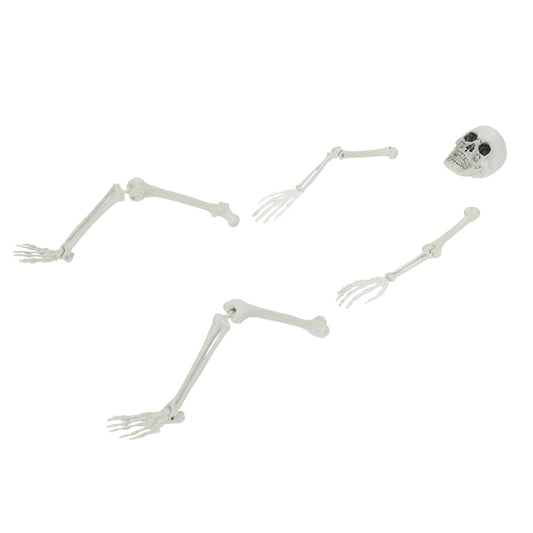 vidaXL Halloween Skeleton White 20 x 10 x 9.5 cm Plastic