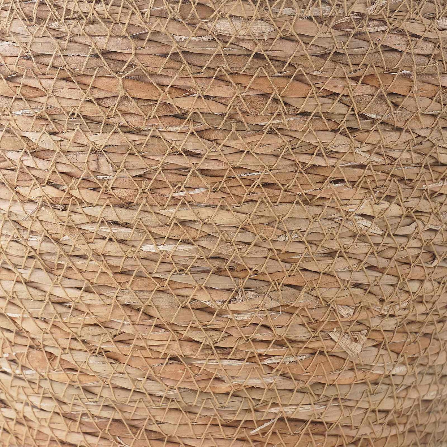 vidaXL Seagrass Plant Baskets 3 pcs Natural Ø26 x 19 cm 100% Seagrass