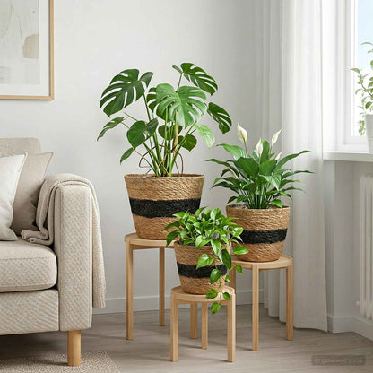 vidaXL 3 pcs Natural and Black Ø26 x 19 cm 100% Seagrass
