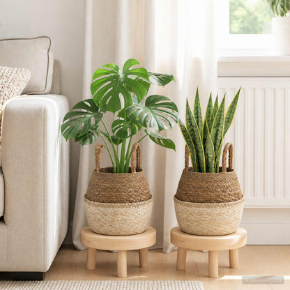 vidaXL Plant Pot with Handles 2 pcs White Ø 22 x 20 cm 100% Seagrass