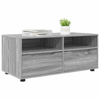 vidaXL TV Cabinet 100 x 48 x 43 cm Grey Sonoma Engineered Wood