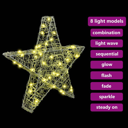 vidaXL 3D Star with 50 LEDs Warm white 55 x 53.5 x 10 cm Acrylic
