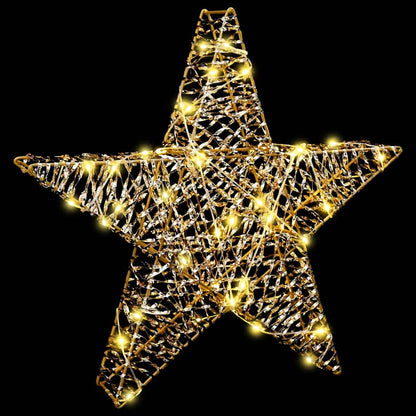 vidaXL 3D Star 50 LEDs Warm white 55 x 52.5 x 9 cm PET