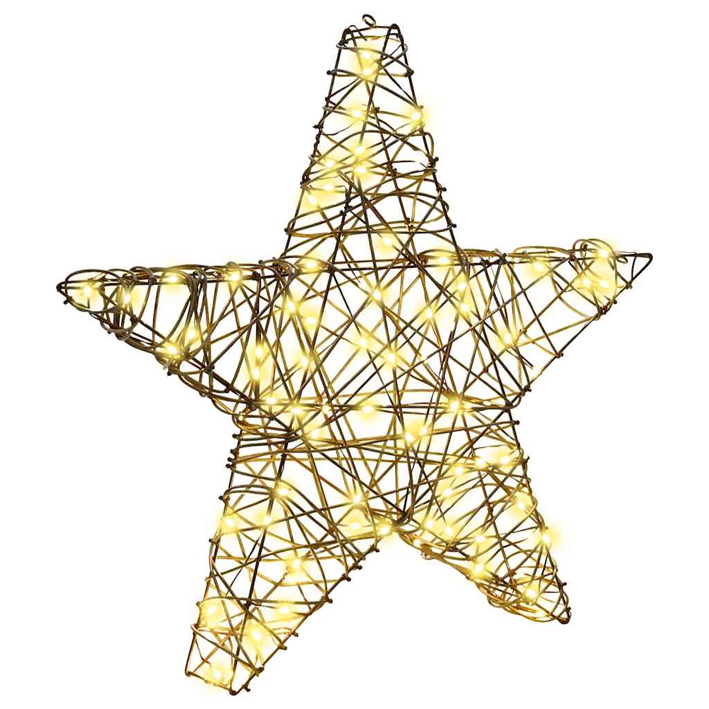 vidaXL 3D Star 50 LEDs Warm white 55 x 52.5 x 9 cm Rattan