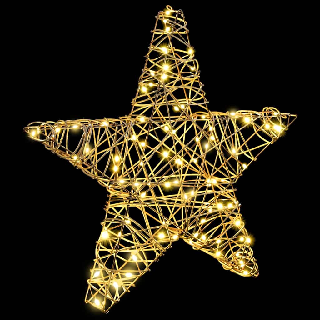 vidaXL 3D Star 50 LEDs Warm white 55 x 52.5 x 9 cm Rattan