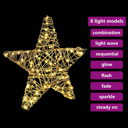 vidaXL 3D Star 50 LEDs Warm white 55 x 52.5 x 9 cm Rattan