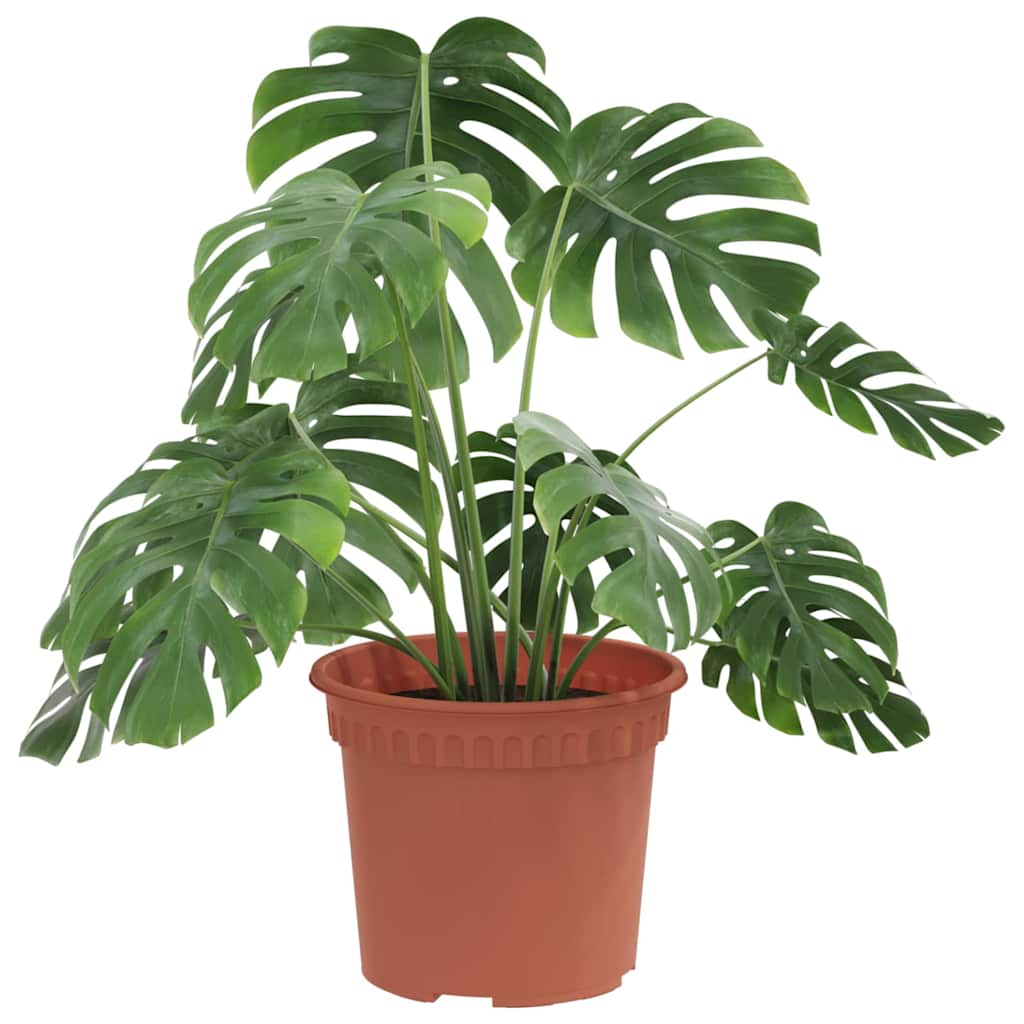 vidaXL Round Flower Pot 24 pcs Brick Red Ø 12.5 x 10 cm Plastic