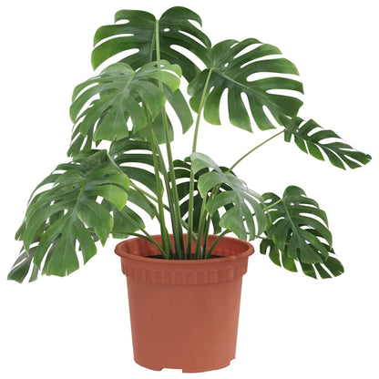 vidaXL Round Flower Pot 24 pcs Brick Red Ø 12.5 x 10 cm Plastic