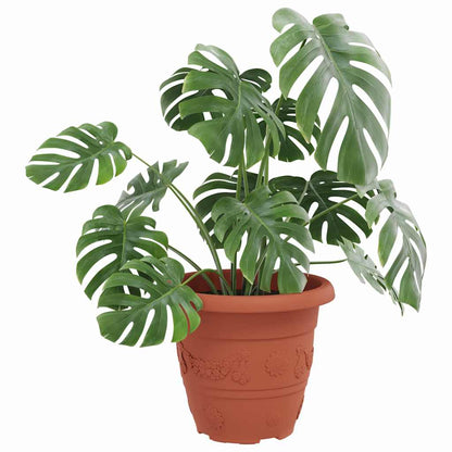 vidaXL Round Flower Pot 24 pcs Brick Red Ø 26 x 21.5 cm Plastic