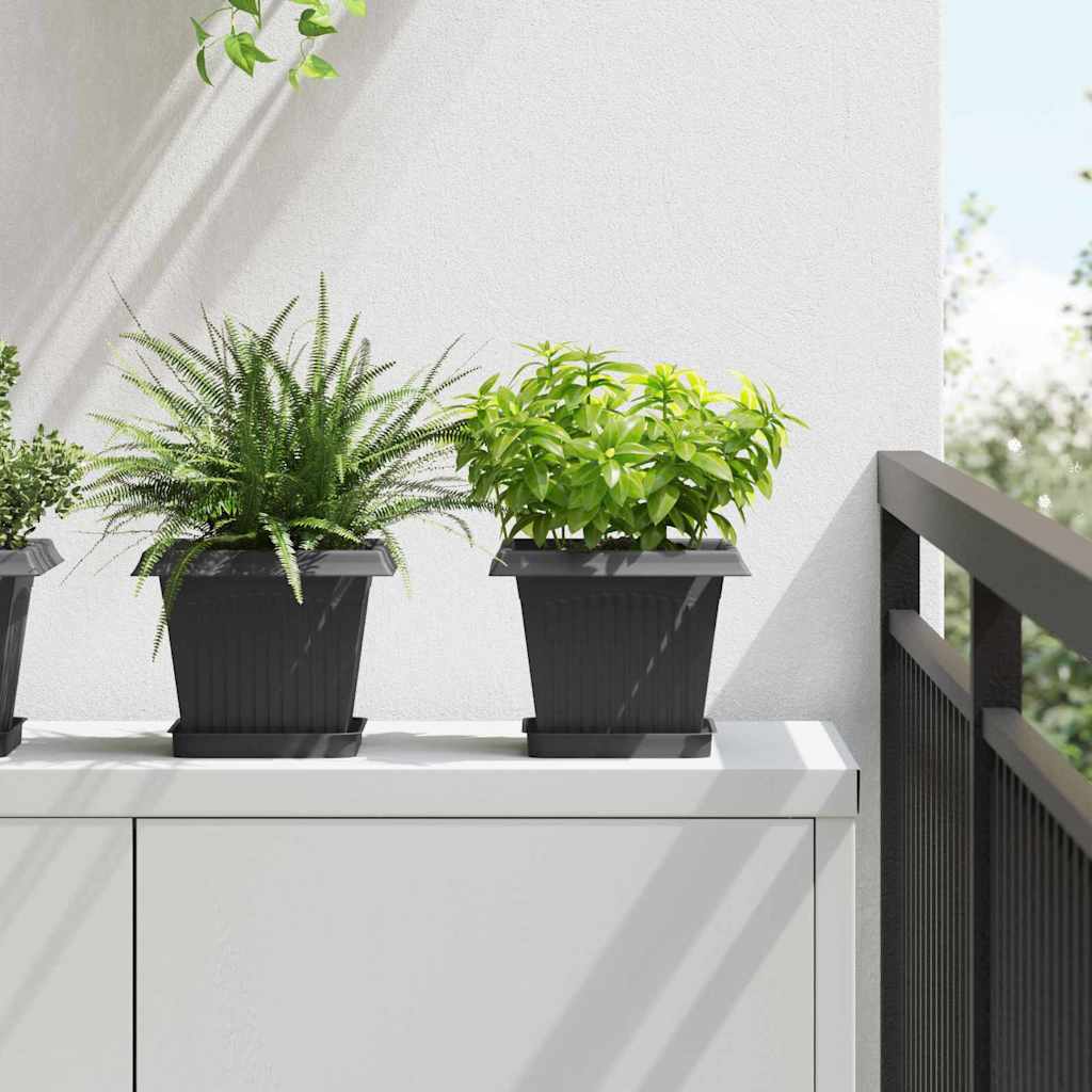vidaXL Square Flower Tray 6 pcs Black 15 x 15 x 2 cm Plastic