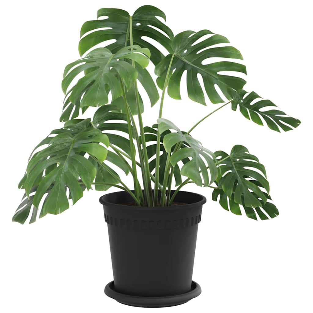 vidaXL Plant Pots 6 pcs Black Ø 17 x 14 cm Plastic