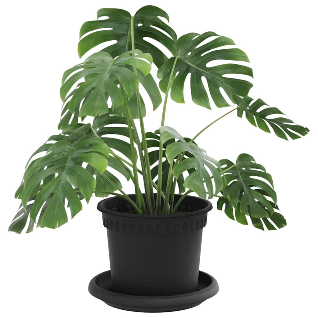 vidaXL Plant Pots 24 pcs Black Ø 12.5 x 10 cm Plastic