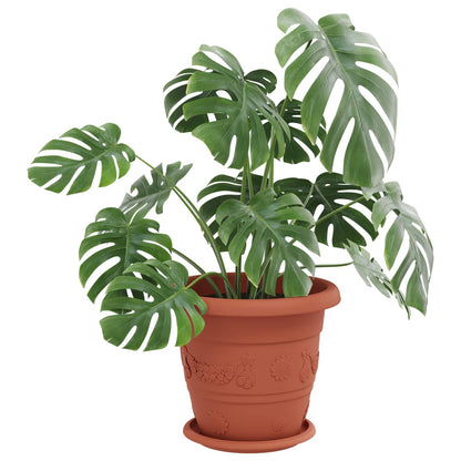 vidaXL Plant Pots 6 pcs Brick Red Ø 26 x 21.5 cm Plastic