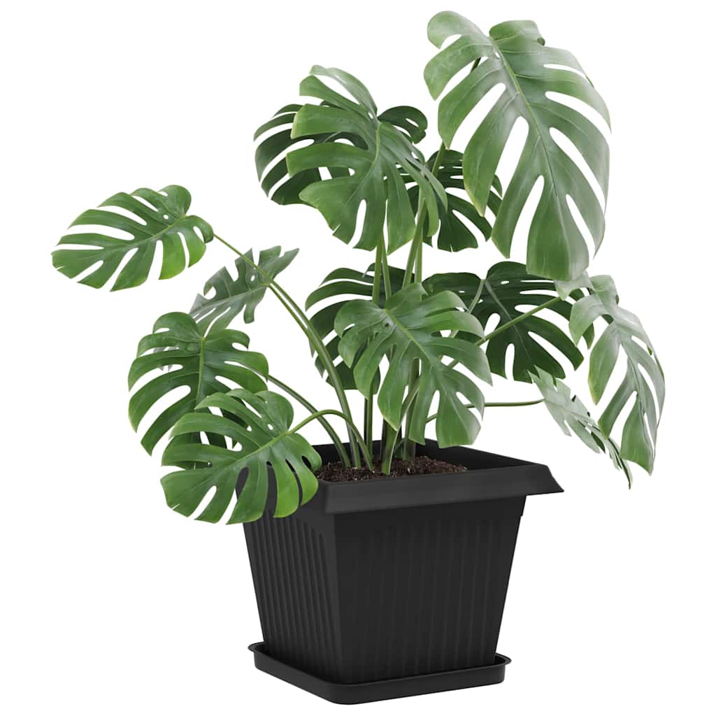 vidaXL Plant Pots 6 pcs Black 33 x 33 x 26 cm Plastic