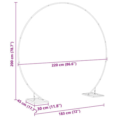 vidaXL Wedding Arch White 220 x 45 x 200 cm Steel
