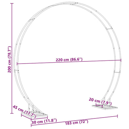 vidaXL Wedding Arch Gold 220 x 45 x 200 cm Steel
